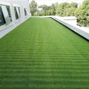 ثيل طبيعي الطائف - اكاسيا لاند سكيب لتنسيق الحدائق