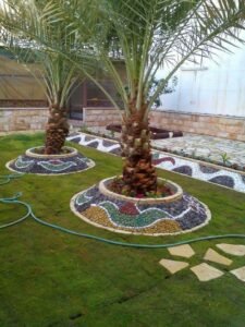 ثيل طبيعي مكة المكرمة - اكاسيا لاند سكيب لتنسيق الحدائق