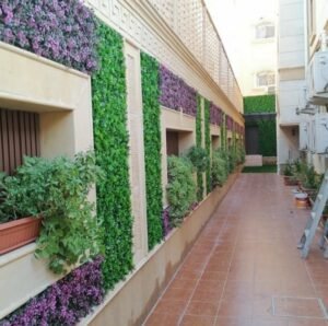 عشب جداري المدينة المنورة - اكاسيا لاند سكيب لتنسيق الحدائق