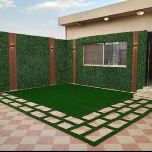 عشب جداري خميس مشيط - اكاسيا لاند سكيب لتنسيق الحدائق