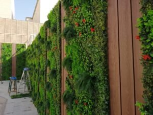 عشب جداري نجران - اكاسيا لاند سكيب لتنسيق الحدائق