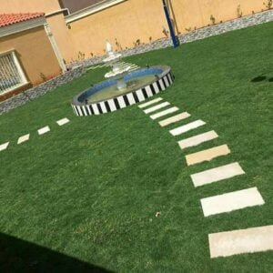 عشب طبيعي الاحساء - اكاسيا لاند سكيب لتنسيق الحدائق