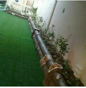 عشب طبيعي جدة - اكاسيا لاند سكيب لتنسيق الحدائق