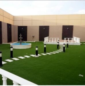 نجيلة طبيعية الاحساء - اكاسيا لاند سكيب لتنسيق الحدائق