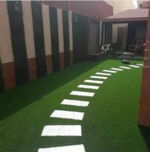 نجيله طبيعية المملكة العربية السعودية - اكاسيا لاند سكيب لتنسيق الحدائق