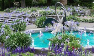 نوافير الخبر - اكاسيا لاند سكيب لتنسيق الحدائق